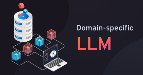 What is domain specific LLM